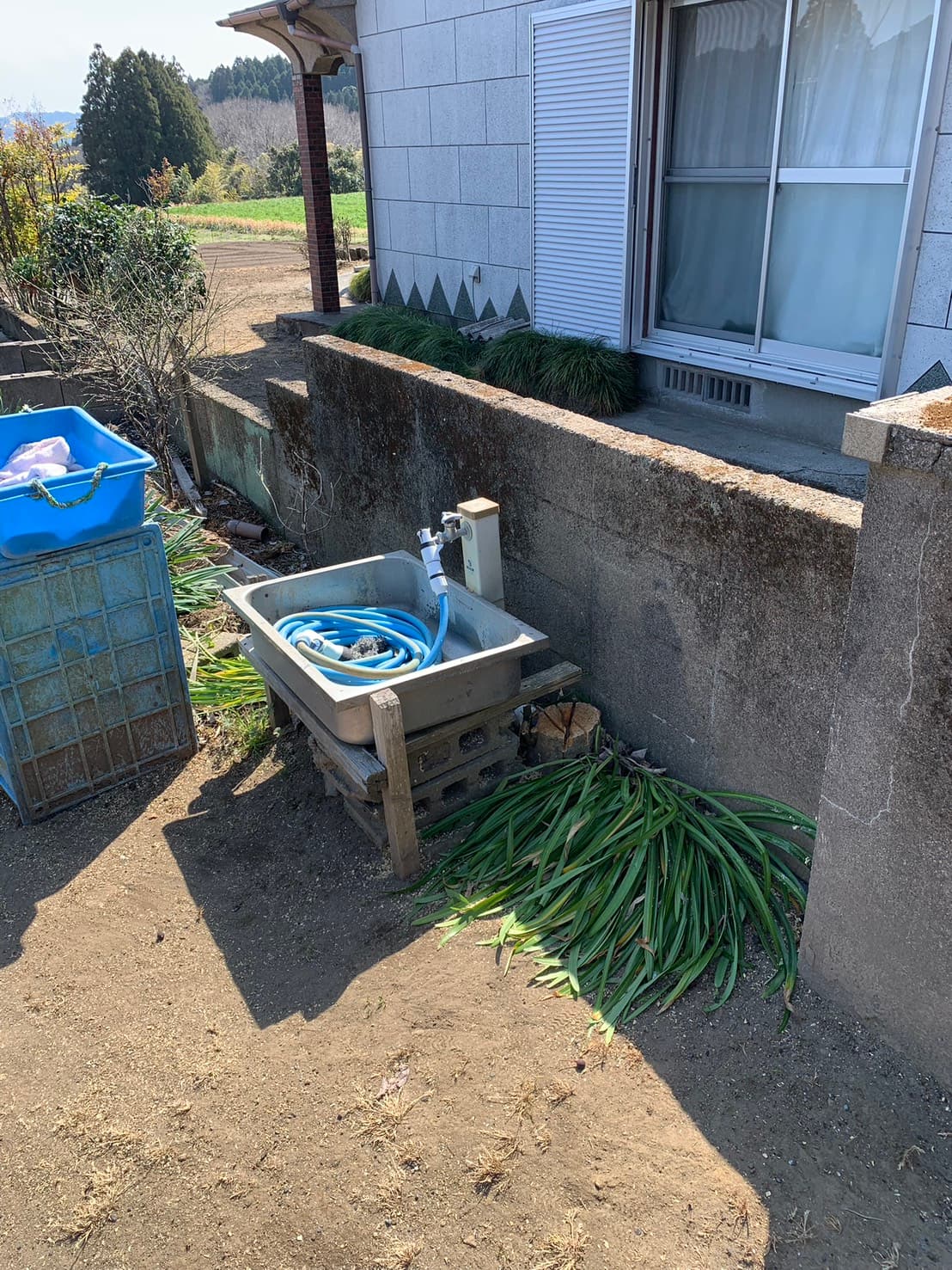 敷地周りの片付け・伐採 作業後