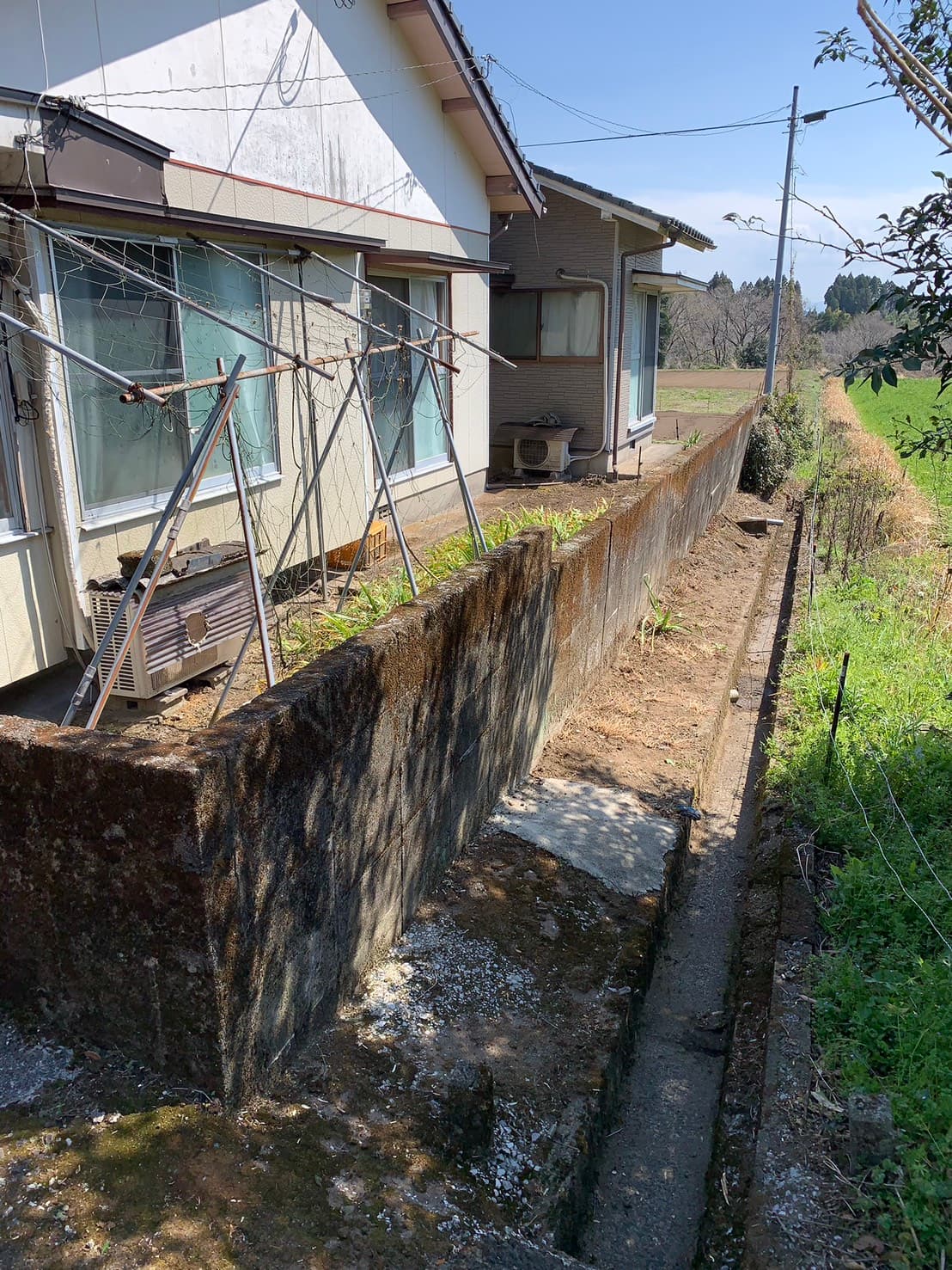 生垣の剪定・側溝の清掃 作業後