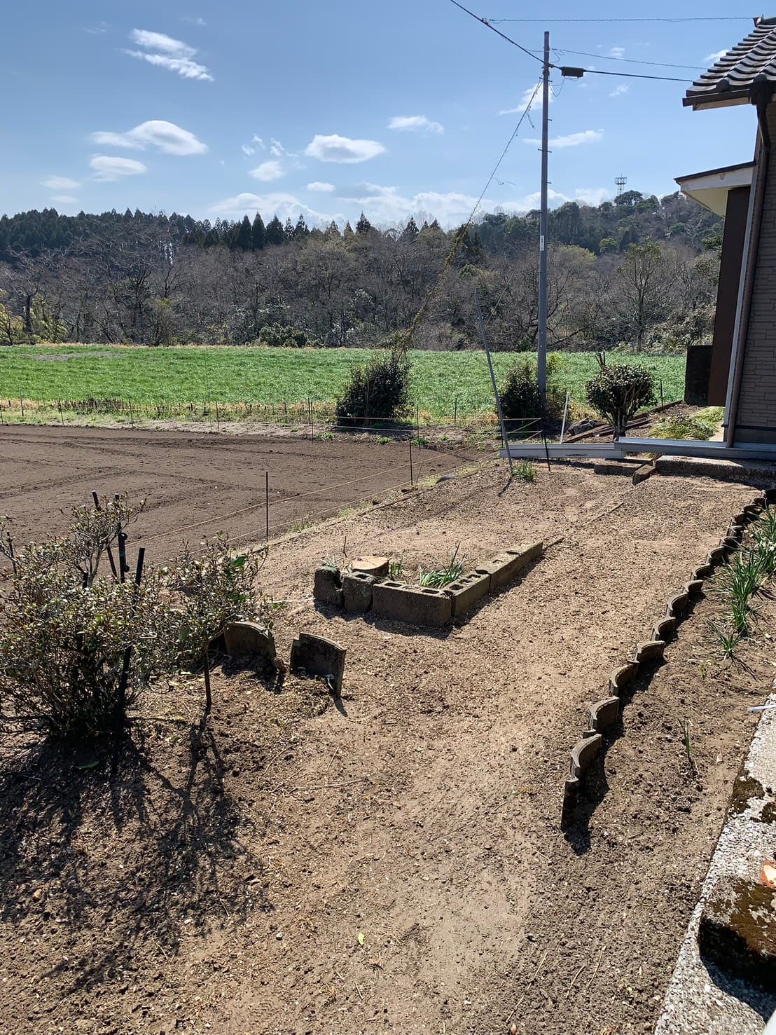 庭木の伐採・整地 作業後